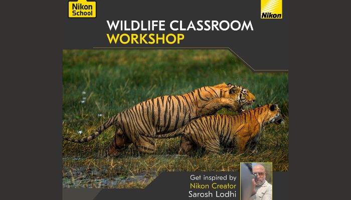 Wildlife Classroom Workshop